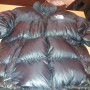 The north face American model goose down