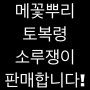메꽃뿌리 토복령 소루쟁이