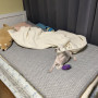 눈떠아 메모리폼 토퍼매트리스 삼중직커버 (아이보리 / 그레이)