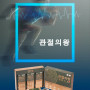 관절의왕