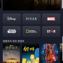 디즈니플러스 1년이용권 2만원에 같이보실분?