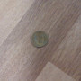 (황동색) 1979년 10원 동전